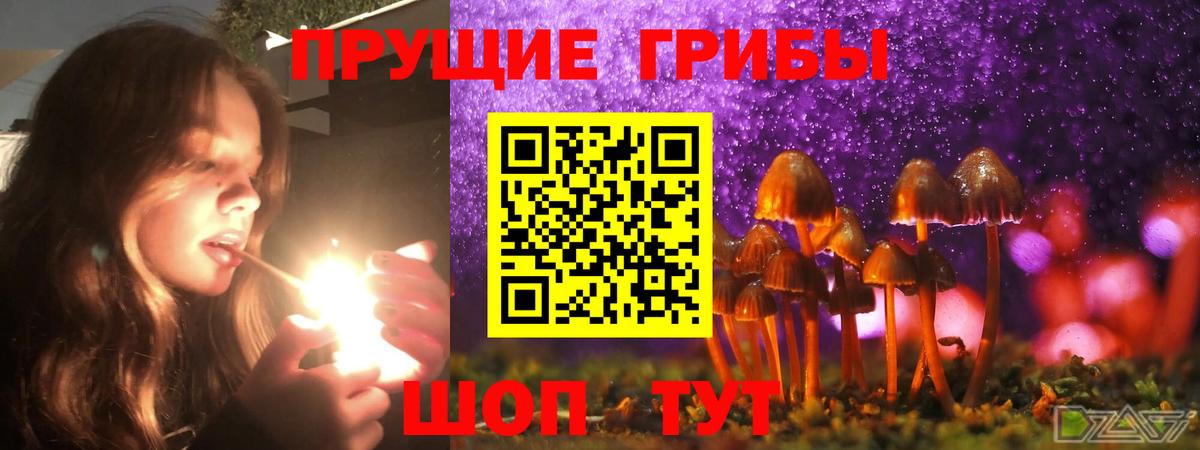 Ефремов  Галлюциногенные грибы Psilocybe  Галлюциногенные грибы Cubensis  Вход с VPN 